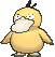 Psyduck